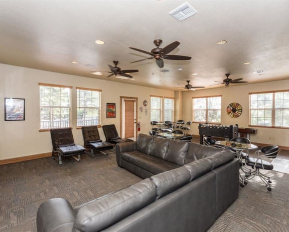 Photo Gallery Image