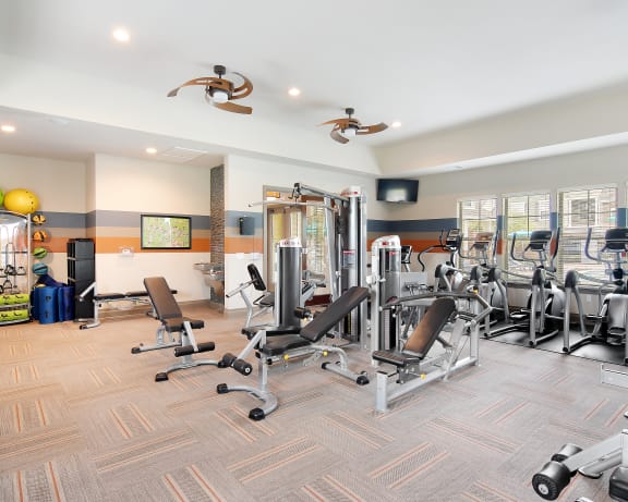 Photo Gallery Image