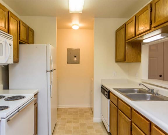 Photo Gallery Image