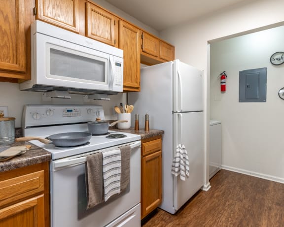 Photo Gallery Image