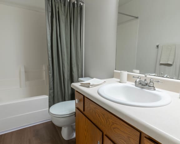 Photo Gallery Image