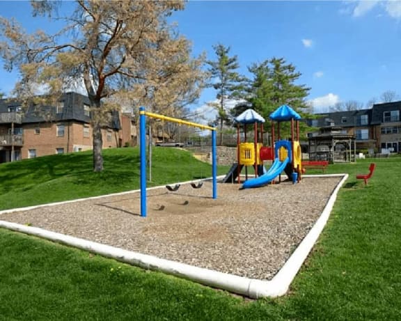 Photo Gallery Image