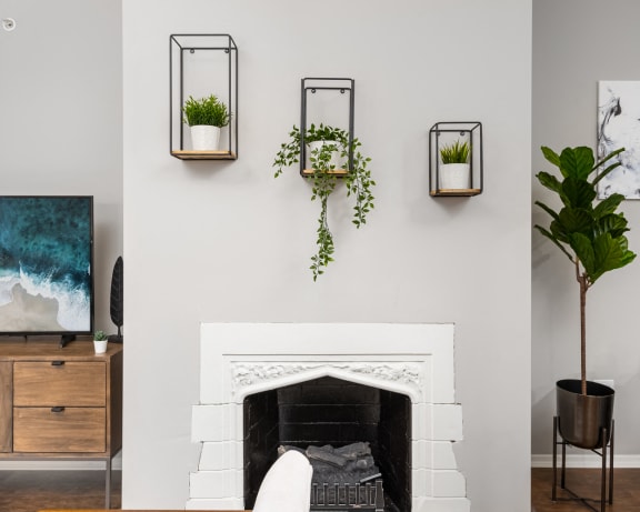 Photo Gallery Image