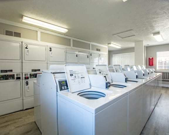 Photo Gallery Image