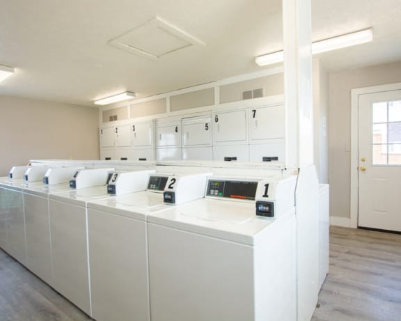 Photo Gallery Image