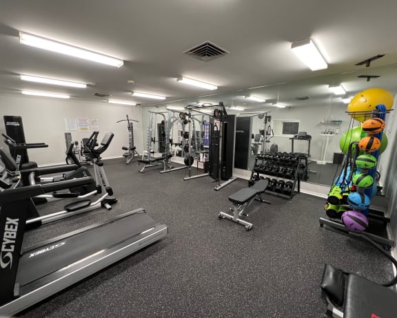 Photo Gallery Image