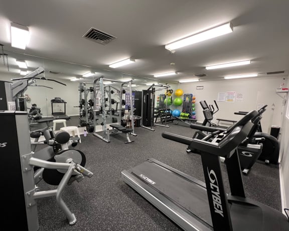Photo Gallery Image