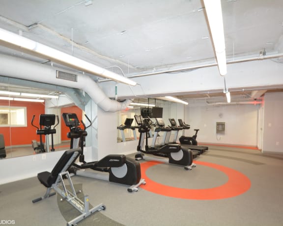 Photo Gallery Image