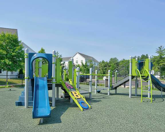 Photo Gallery Image