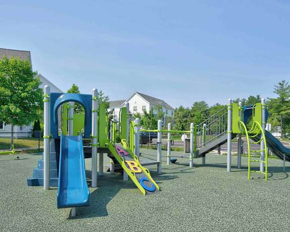 Photo Gallery Image