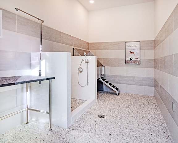 Photo Gallery Image