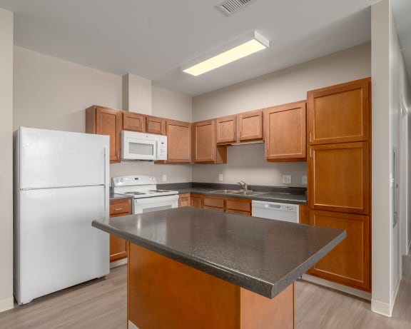 Photo Gallery Image