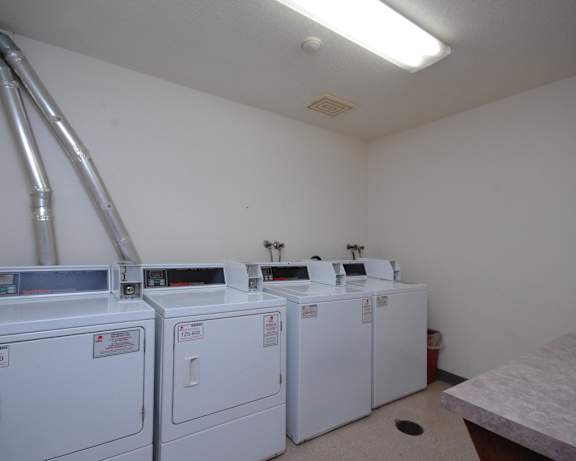 Photo Gallery Image