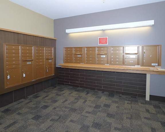Photo Gallery Image