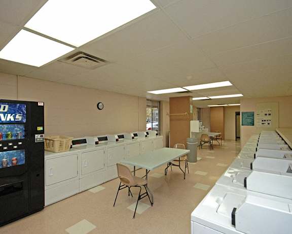 Photo Gallery Image