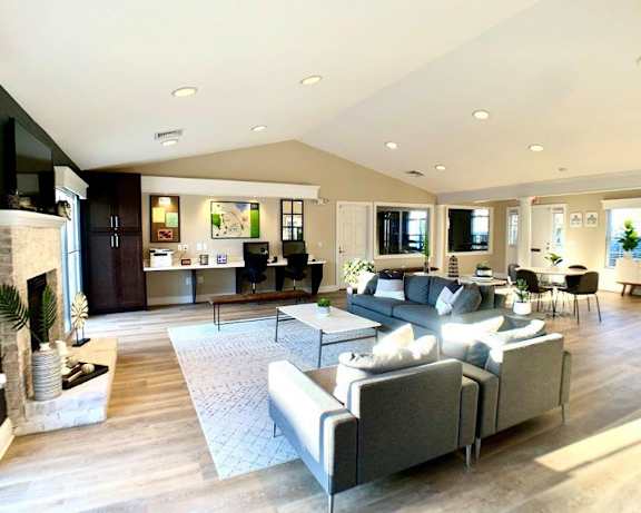 Photo Gallery Image