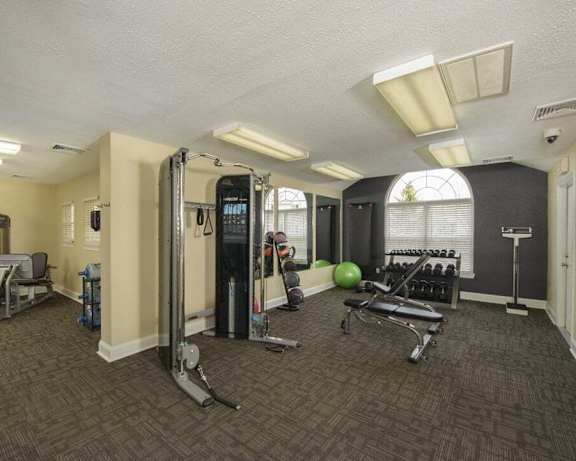 Photo Gallery Image