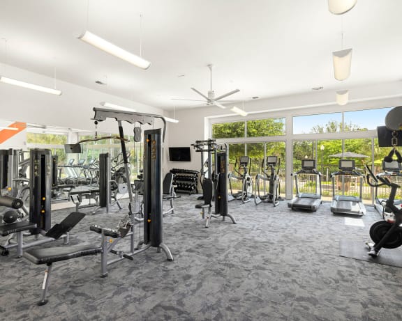 Photo Gallery Image