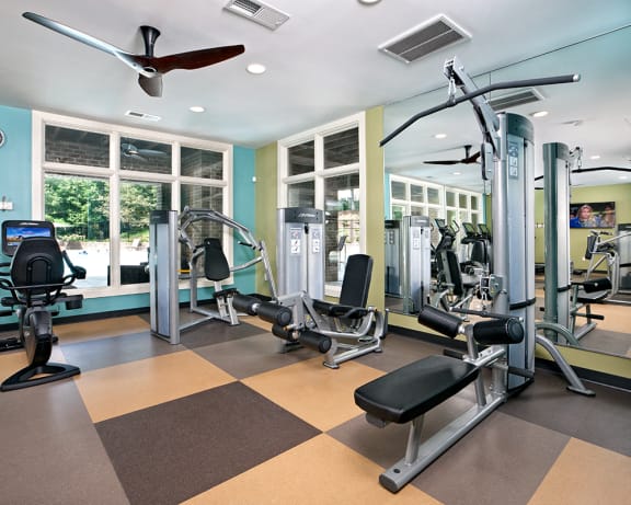 Photo Gallery Image