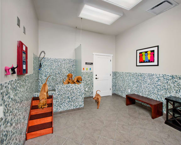Photo Gallery Image