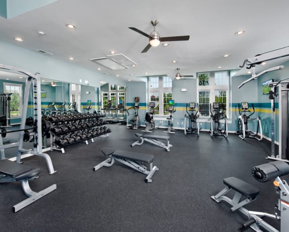 Photo Gallery Image