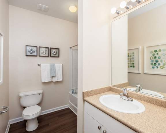 Photo Gallery Image