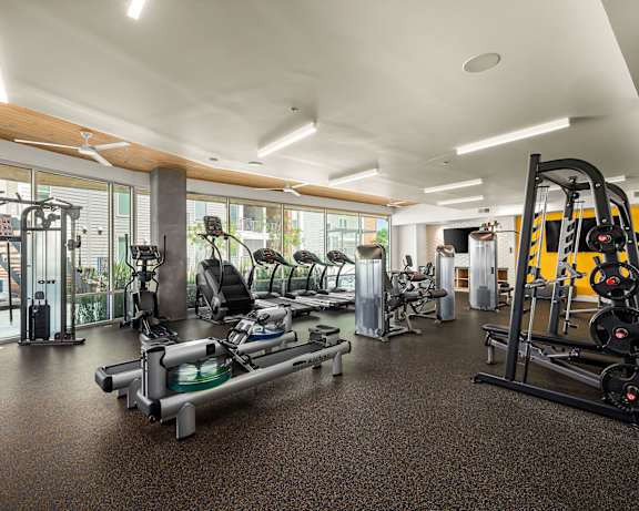 Photo Gallery Image