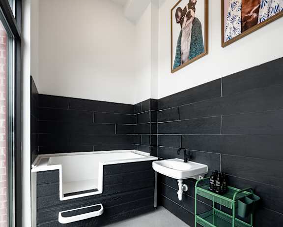Photo Gallery Image