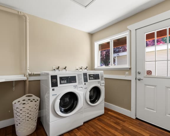 Photo Gallery Image