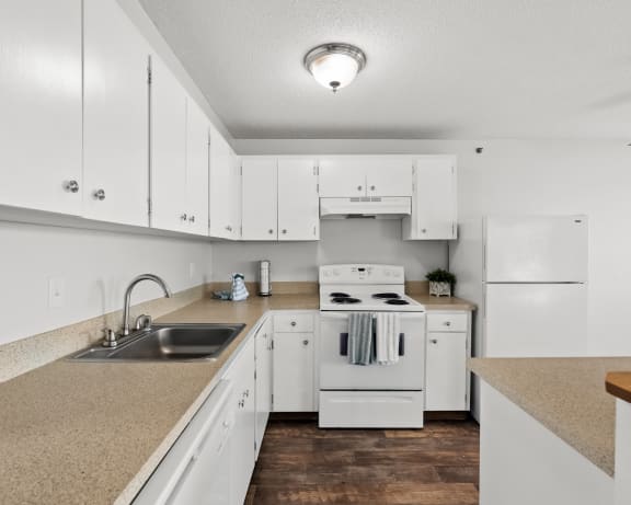 Photo Gallery Image