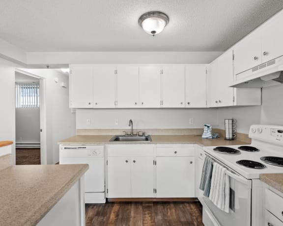 Photo Gallery Image