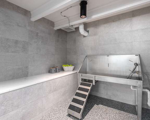 Photo Gallery Image