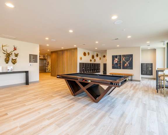 Photo Gallery Image