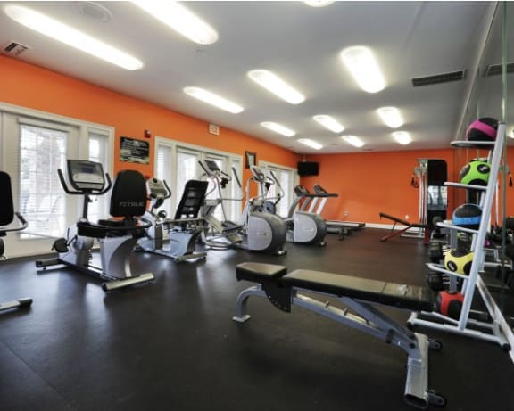 Photo Gallery Image