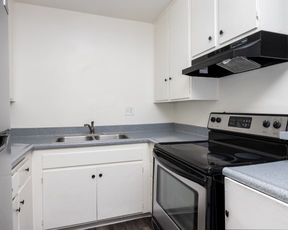 Photo Gallery Image