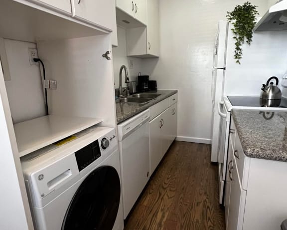 Photo Gallery Image