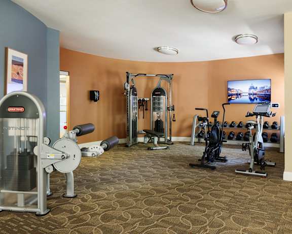 Photo Gallery Image