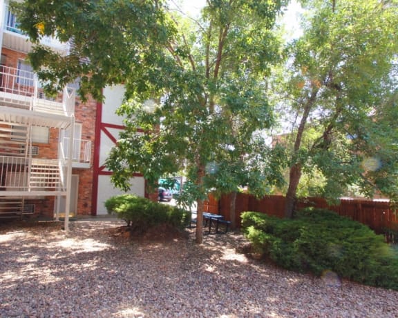 Photo Gallery Image