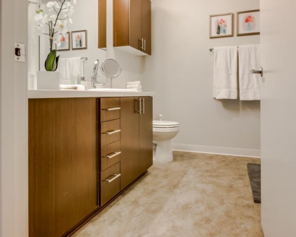 Photo Gallery Image