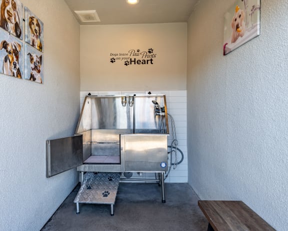 Photo Gallery Image