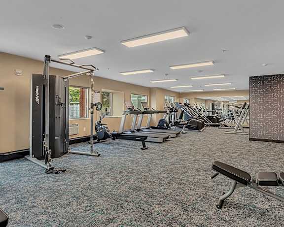 Photo Gallery Image