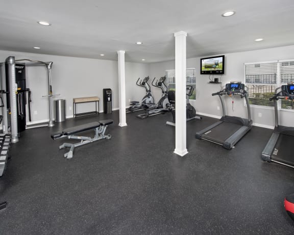 Photo Gallery Image