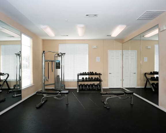 Photo Gallery Image