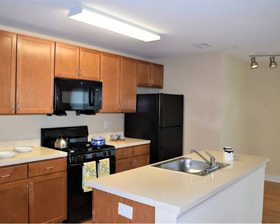 Photo Gallery Image