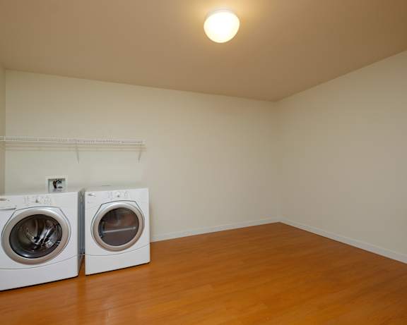 Photo Gallery Image