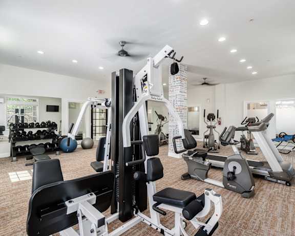 Photo Gallery Image