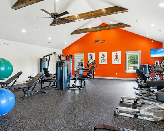 Photo Gallery Image