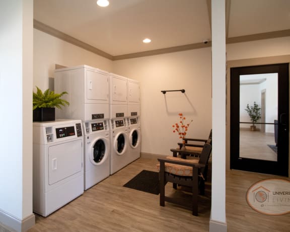 Photo Gallery Image