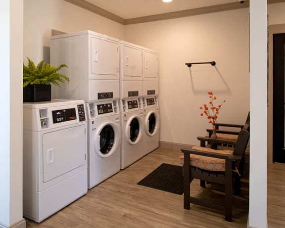 Photo Gallery Image