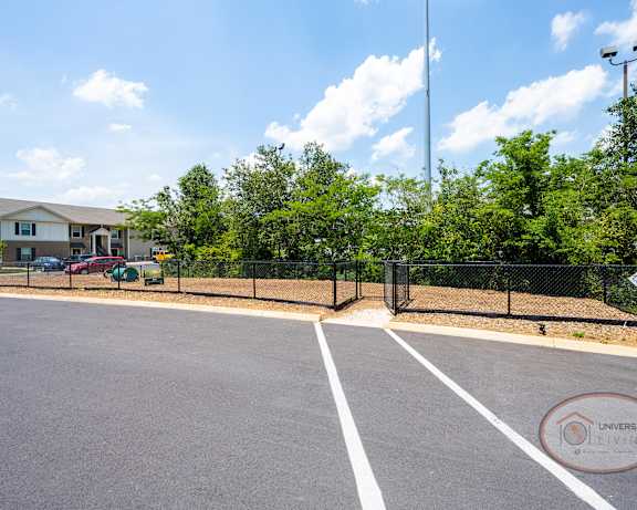 Photo Gallery Image
